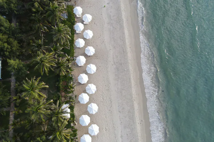 A white sand beach and a row of coconut palms swaying in the wind on the Non Nuoc coast of Da Nang