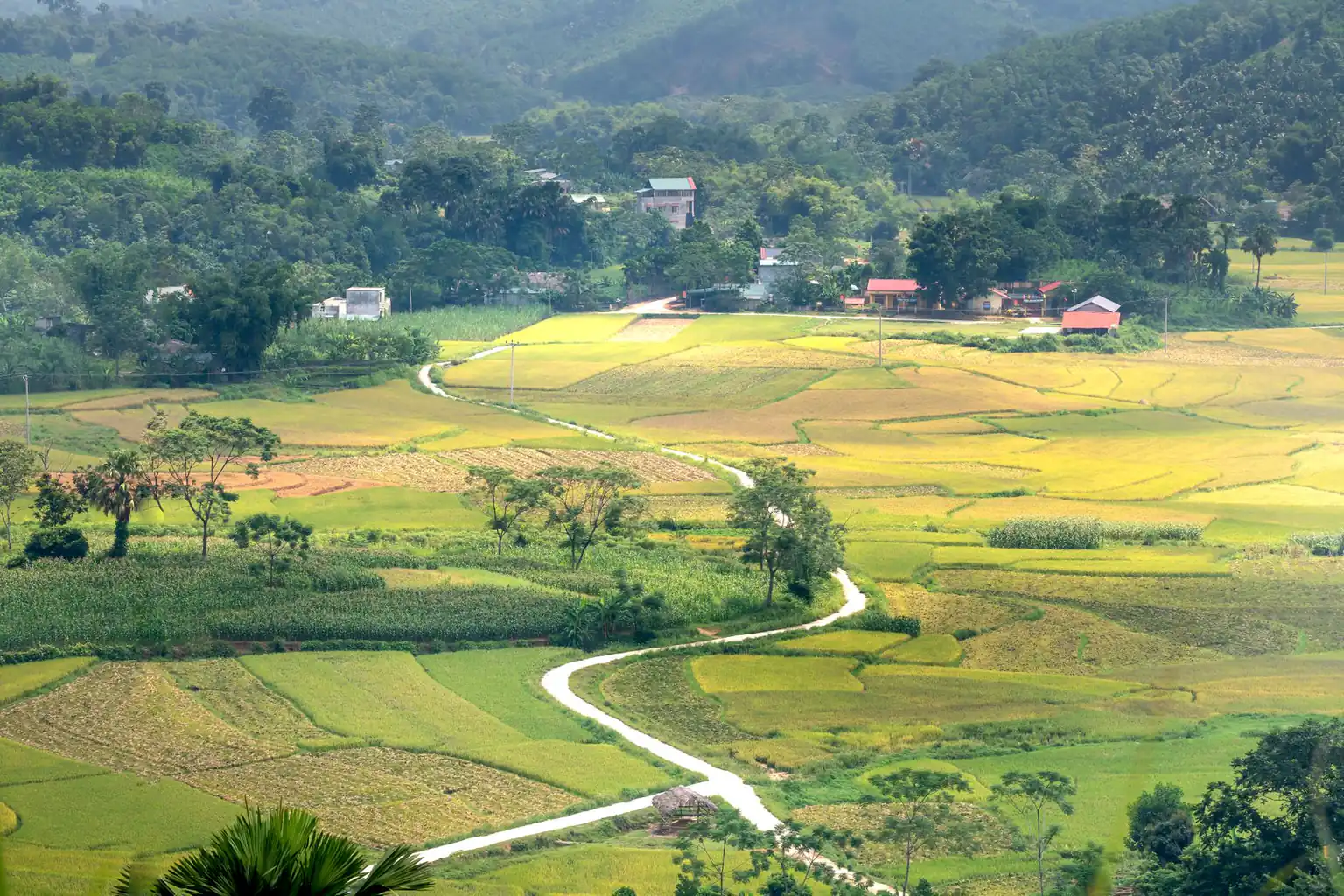 Peaceful countryside scene in Quang Nam