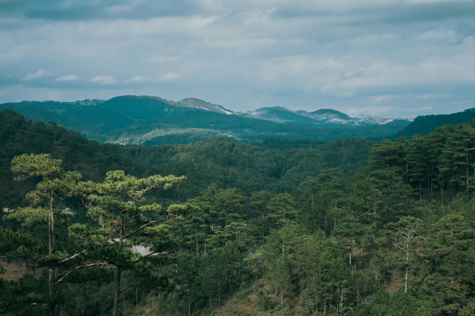Green forested hills under a cloudy sky