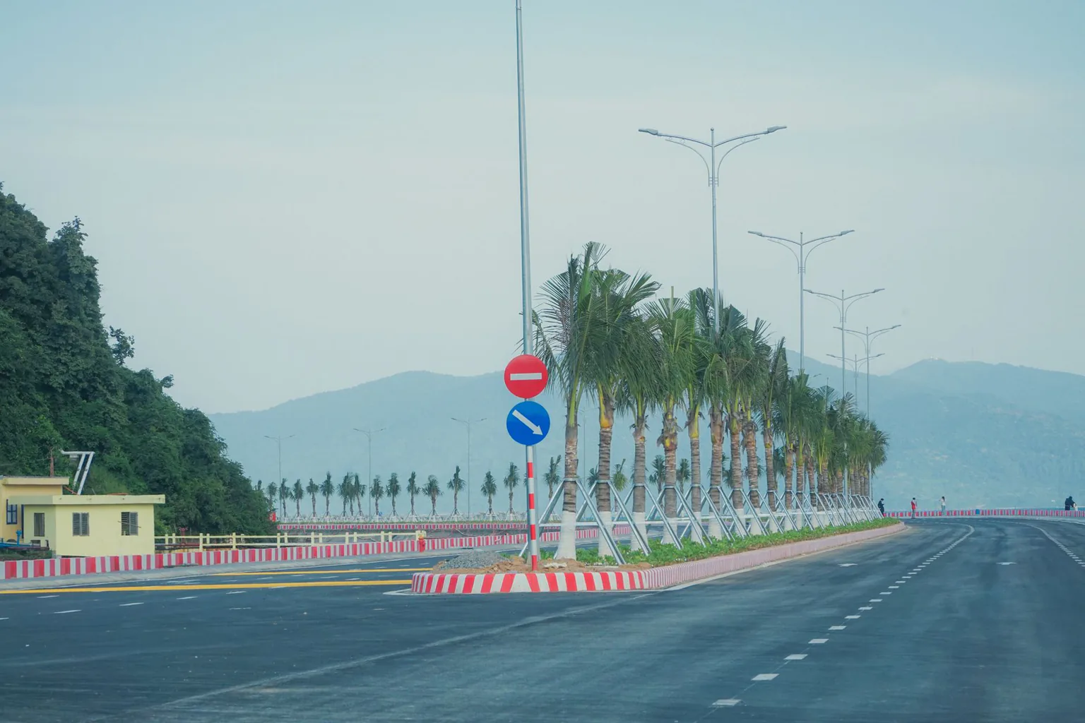 一条有棕榈树的海岸公路，远处是山和晴空