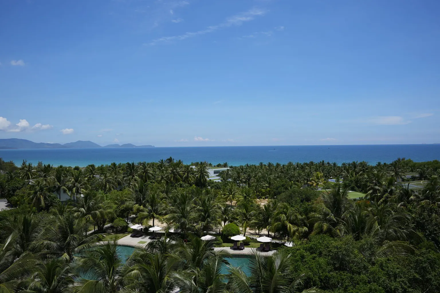Hàng dừa nhiệt đới và khung cảnh biển bao la tại khu nghỉ dưỡng Sheraton Grand Danang