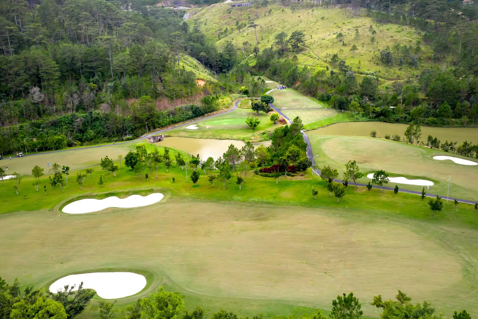 Green golf course in a coastal valley