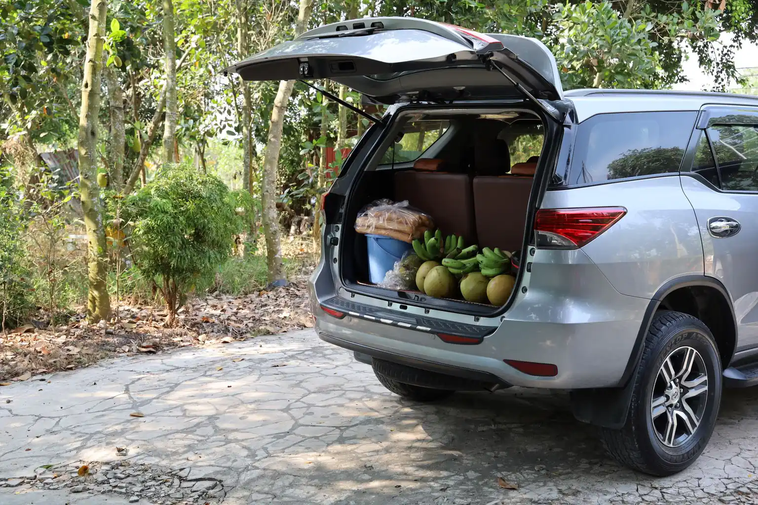 SUV bạc mở cốp, xếp đầy túi đồ và trái cây dưới tán cây xanh